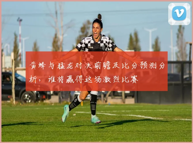 黄蜂与猛龙对决前瞻及比分预测分析，谁将赢得这场激烈比赛