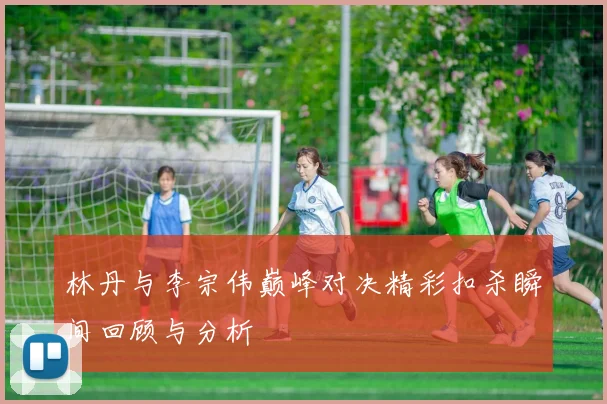 林丹与李宗伟巅峰对决精彩扣杀瞬间回顾与分析