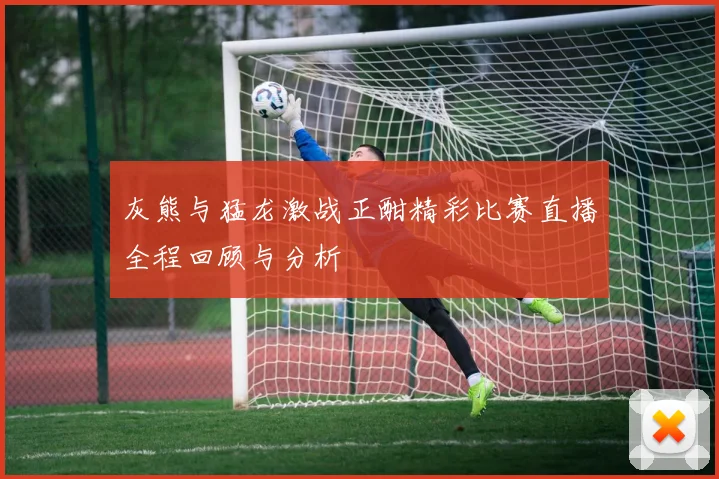 灰熊与猛龙激战正酣精彩比赛直播全程回顾与分析