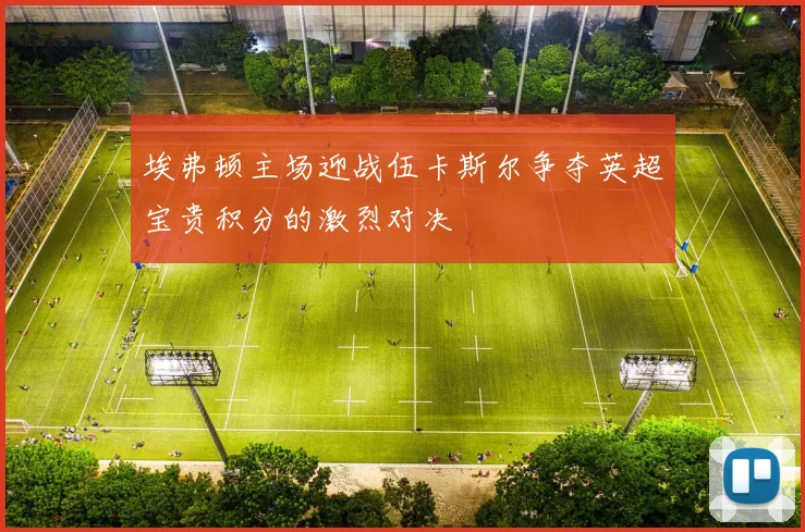 埃弗顿主场迎战伍卡斯尔争夺英超宝贵积分的激烈对决