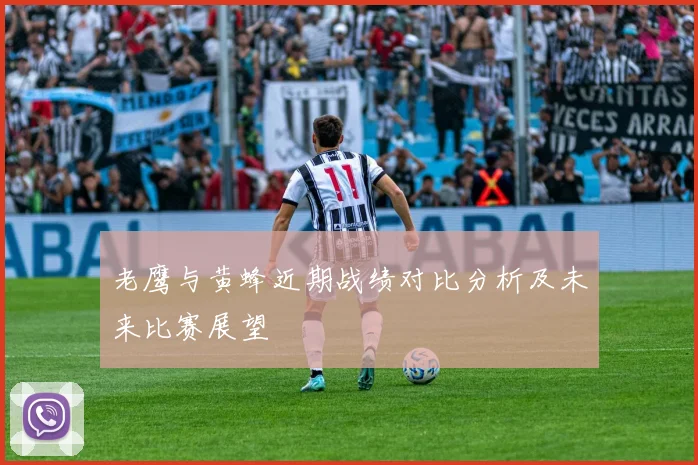 老鹰与黄蜂近期战绩对比分析及未来比赛展望