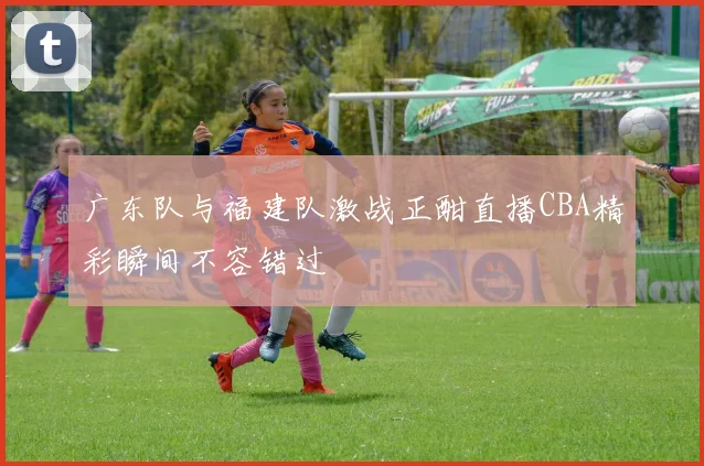 广东队与福建队激战正酣直播CBA精彩瞬间不容错过
