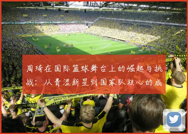 周琦在国际篮球舞台上的崛起与挑战：从青涩新星到国家队核心的成长之路