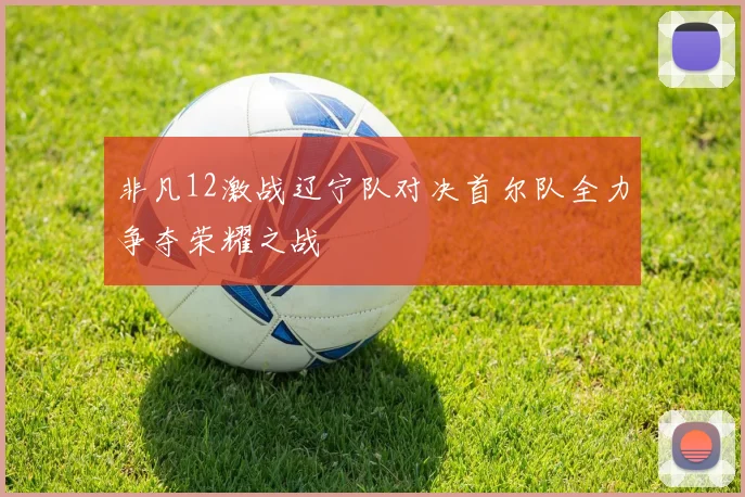 非凡12激战辽宁队对决首尔队全力争夺荣耀之战