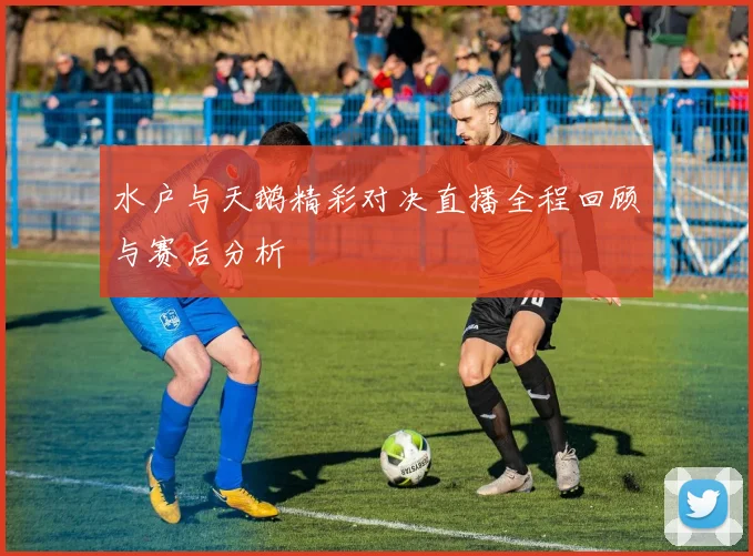 水户与天鹅精彩对决直播全程回顾与赛后分析