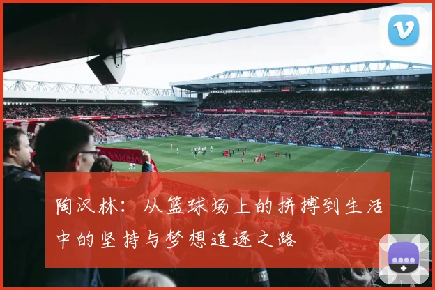 陶汉林：从篮球场上的拼搏到生活中的坚持与梦想追逐之路